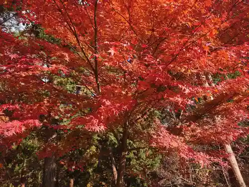 塩船観音寺の庭園