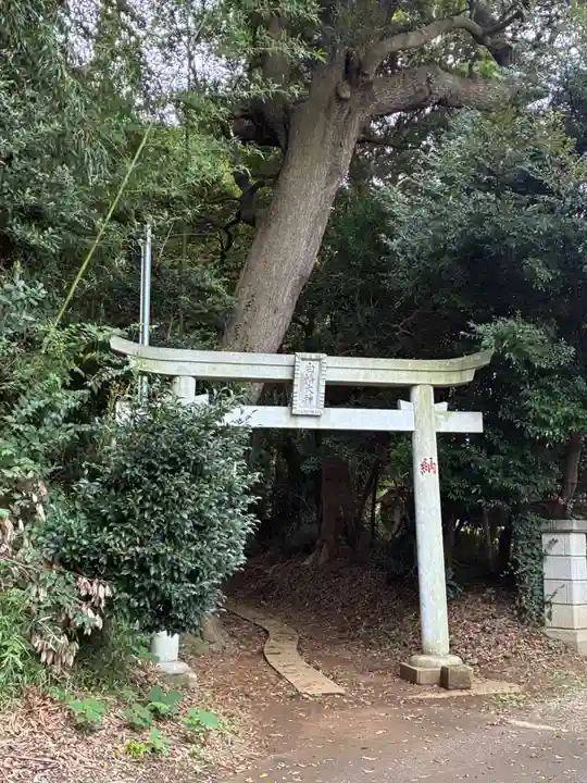 白幡大神(千葉県)