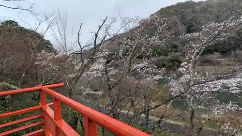 佐久奈度神社(滋賀県)