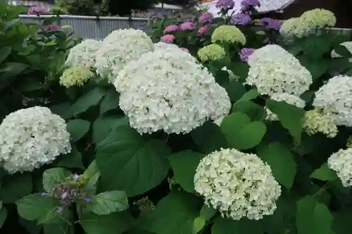 性海寺(愛知県)