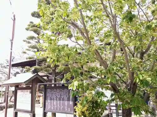 松應寺(愛知県)