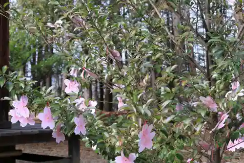 滑川神社 - 仕事と子どもの守り神のおみくじ