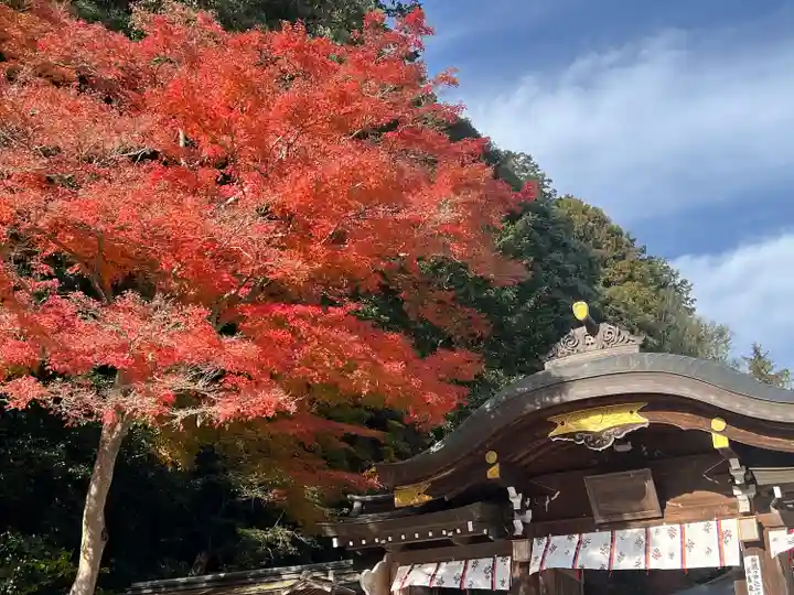 高麗神社(埼玉県)