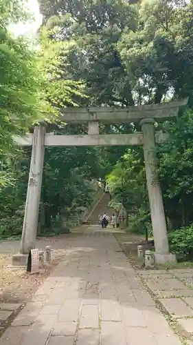 赤坂氷川神社の鳥居