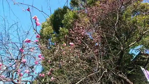 牛天神北野神社の自然