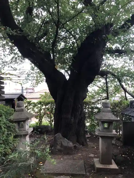 普門院(神奈川県)