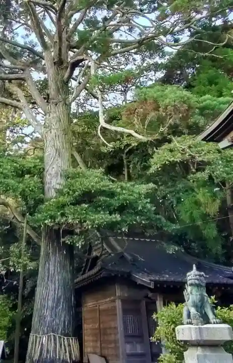 平潟八幡神社の庭園