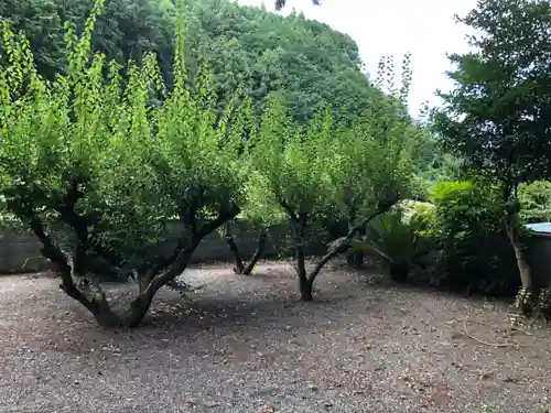 白澤神社の庭園