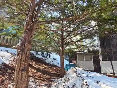鳥取神社(北海道)