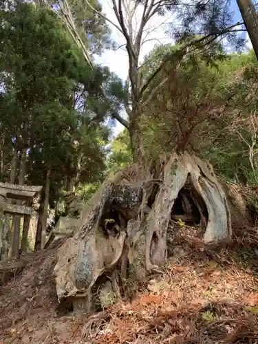 八幡神社(福島県)