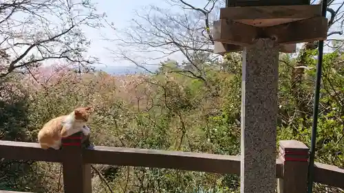 唐澤山神社の動物