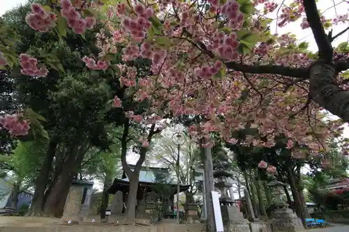 熊野福藏神社の景色