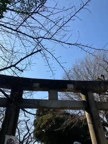 上野東照宮の{uncategorized: "未分類", other: "その他", undefined: "問題あり", building: "その他建物", grave: "お墓", sacred_gate: "鳥居", guardian: "狛犬", statue: "像", buddha: "仏像", history: "歴史", nature: "自然", garden: "庭園", animal: "動物", pagoda: "塔", temizu: "手水舎", mountain_gate: "山門・神門", sanctuary: "本殿・本堂", subordinate: "末社・摂社", art: "芸術", scenery: "景色", jizo: "地蔵", ema: "絵馬", goshuin: "御朱印", omikuji: "おみくじ", items: "授与品その他", amulet: "お守り", goshuincho: "御朱印帳", eats: "食事", festival: "お祭り", votive_dance: "神楽", shichigosan: "七五三参", wedding: "結婚式", experience: "体験その他", initially: "初詣", around: "周辺", anti_infection: "感染症対策"}
