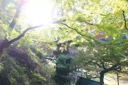 金剛院のその他建物