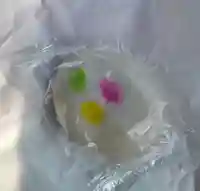 泉龍寺(栃木県)