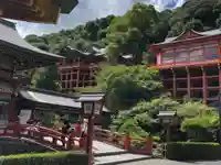 祐徳稲荷神社の本殿・本堂