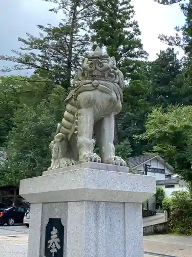 白山比咩神社の狛犬