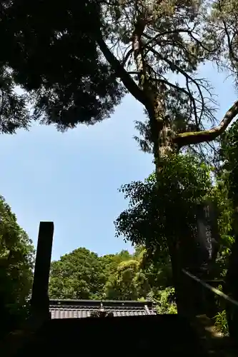 宇都宮神社(愛媛県)