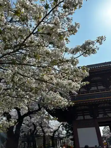 池上本門寺の{uncategorized: "未分類", other: "その他", undefined: "問題あり", building: "その他建物", grave: "お墓", sacred_gate: "鳥居", guardian: "狛犬", statue: "像", buddha: "仏像", history: "歴史", nature: "自然", garden: "庭園", animal: "動物", pagoda: "塔", temizu: "手水舎", mountain_gate: "山門・神門", sanctuary: "本殿・本堂", subordinate: "末社・摂社", art: "芸術", scenery: "景色", jizo: "地蔵", ema: "絵馬", goshuin: "御朱印", omikuji: "おみくじ", items: "授与品その他", amulet: "お守り", goshuincho: "御朱印帳", eats: "食事", festival: "お祭り", votive_dance: "神楽", shichigosan: "七五三参", wedding: "結婚式", experience: "体験その他", initially: "初詣", around: "周辺", anti_infection: "感染症対策"}
