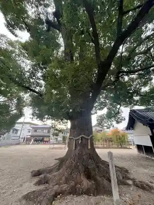 華表神社(大阪府)