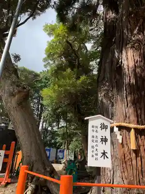息栖神社(茨城県)