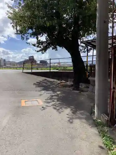 津島神社・秋葉神社（明治町）(岐阜県)