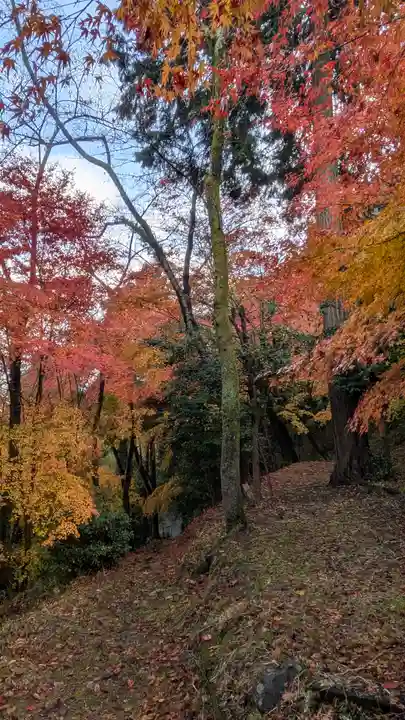 若山神社(大阪府)