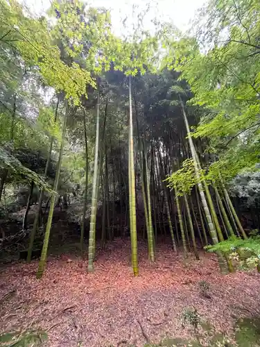 西芳寺(京都府)