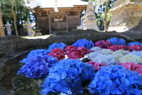 田村神社の手水舎