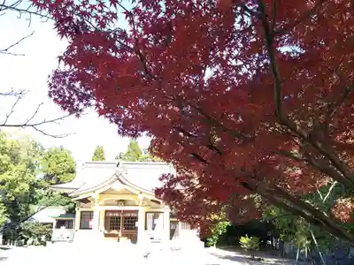 八幡神社（吉根南）(愛知県)