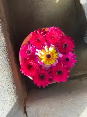 菅生神社の手水舎