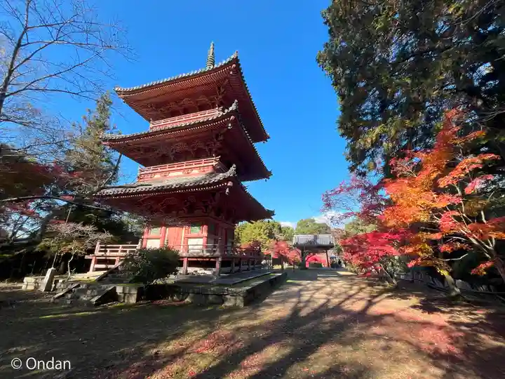 太山寺(兵庫県)