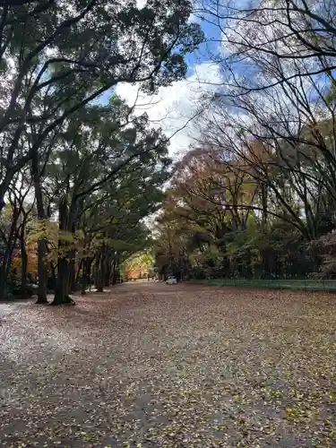 賀茂御祖神社（下鴨神社）の景色