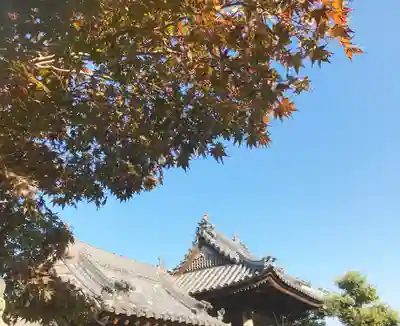 真言宗　善通寺派　薬王寺のその他建物