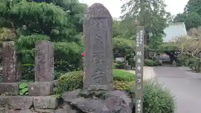 林泉寺のその他建物