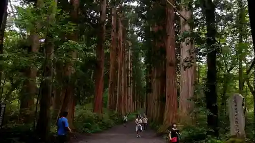 戸隠神社奥社(長野県)