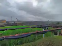 秋葉社(上町)の自然