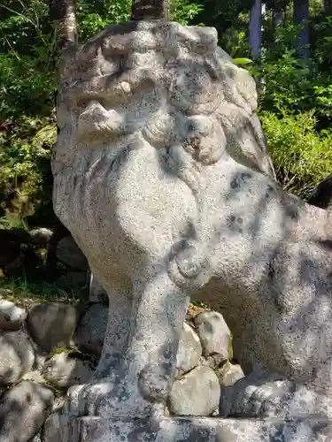 住吉神社の狛犬