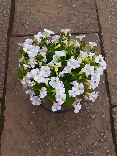 伏木香取神社(茨城県)