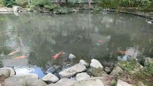 根津神社の庭園