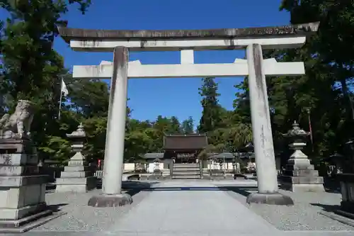 多賀大社の鳥居