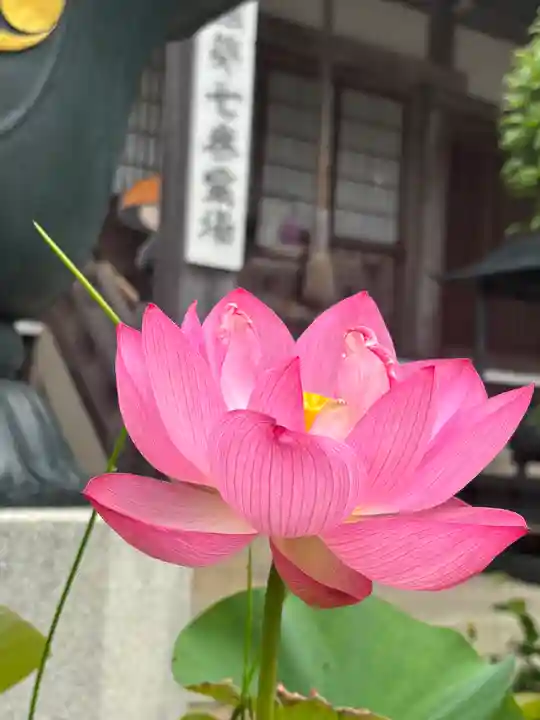 素盞嗚神社(兵庫県)