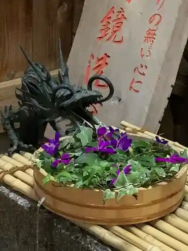 八坂神社の手水