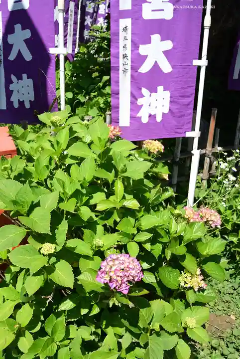 江島神社(神奈川県)