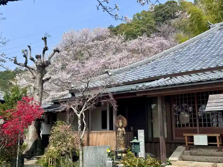 地蔵院の{uncategorized: "未分類", other: "その他", undefined: "問題あり", building: "その他建物", grave: "お墓", sacred_gate: "鳥居", guardian: "狛犬", statue: "像", buddha: "仏像", history: "歴史", nature: "自然", garden: "庭園", animal: "動物", pagoda: "塔", temizu: "手水舎", mountain_gate: "山門・神門", sanctuary: "本殿・本堂", subordinate: "末社・摂社", art: "芸術", scenery: "景色", jizo: "地蔵", ema: "絵馬", goshuin: "御朱印", omikuji: "おみくじ", items: "授与品その他", amulet: "お守り", goshuincho: "御朱印帳", eats: "食事", festival: "お祭り", votive_dance: "神楽", shichigosan: "七五三参", wedding: "結婚式", experience: "体験その他", initially: "初詣", around: "周辺", anti_infection: "感染症対策"}