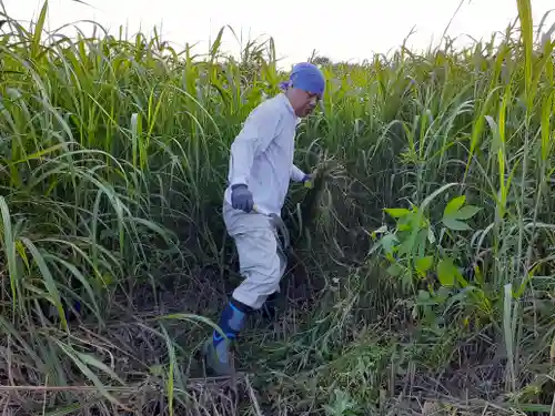 伏木香取神社の周辺