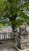 八幡神社(滋賀県)