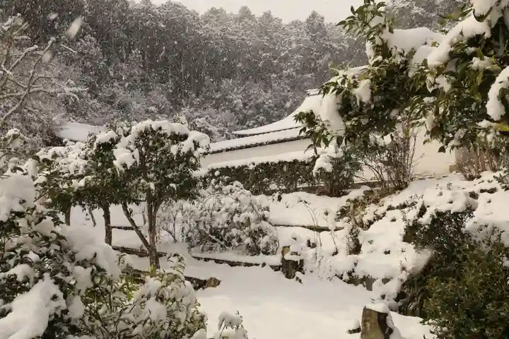 正伝護国禅寺(正伝寺・正傳寺)(京都府)