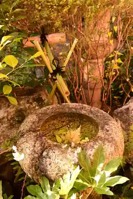 常照寺(京都府)