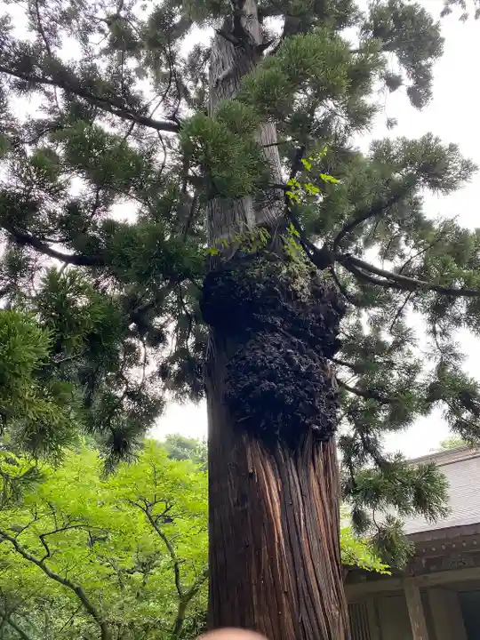 鳥海山大物忌神社吹浦口ノ宮(山形県)